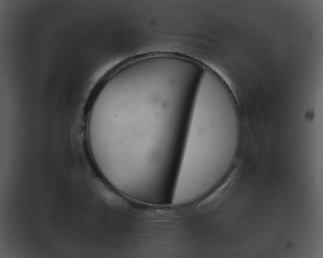 X0000101981119200807180754