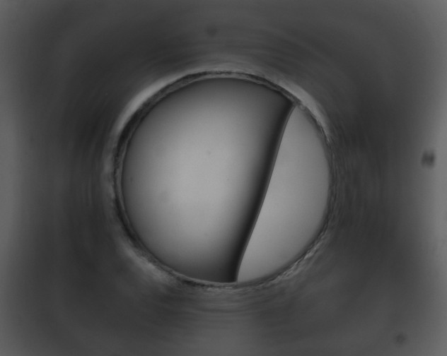 X0000101981120200807180754