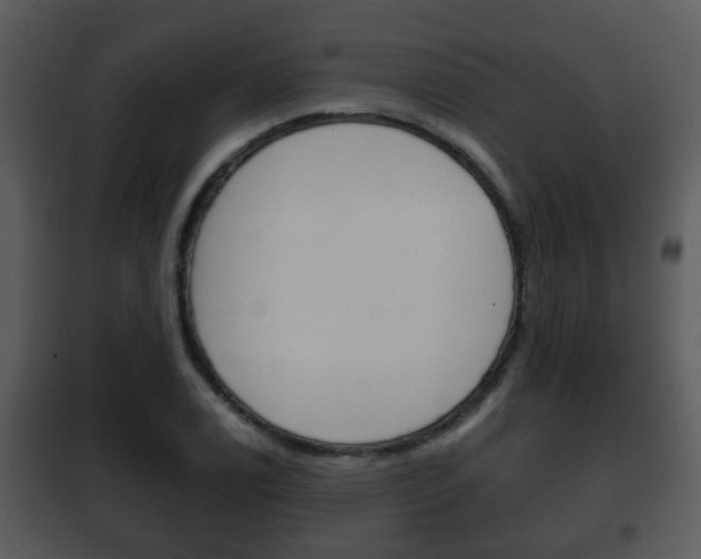 X0000101981122200807180754