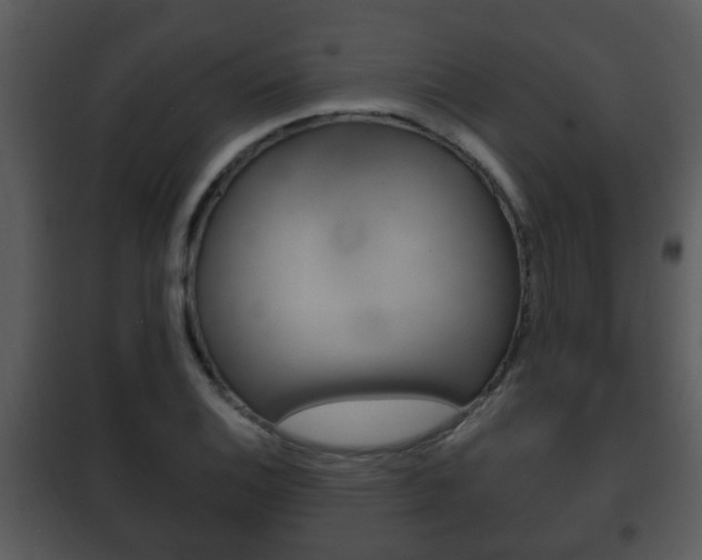 X0000101981124200807180754
