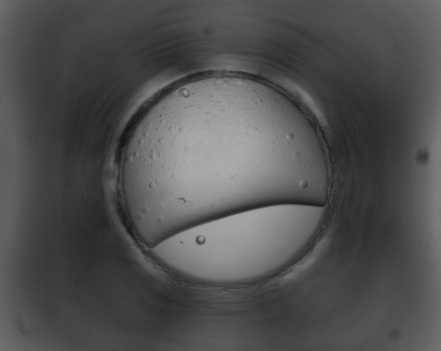 X0000101981125200807180754