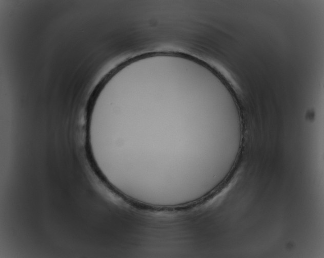 X0000101981126200807180754