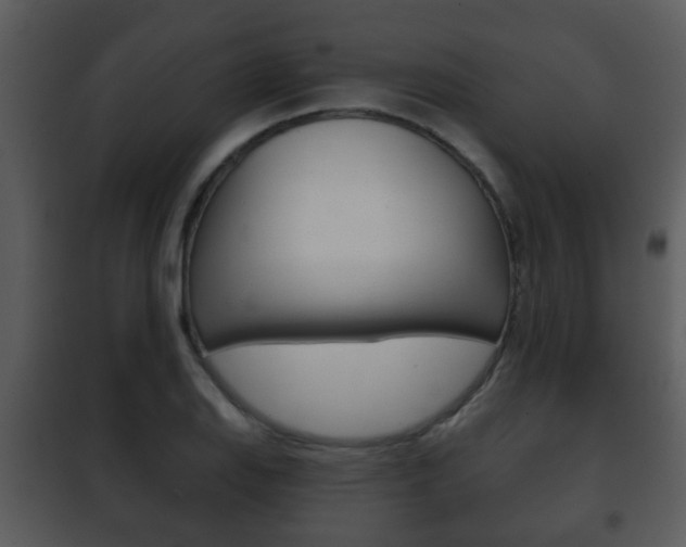 X0000101981127200807180754