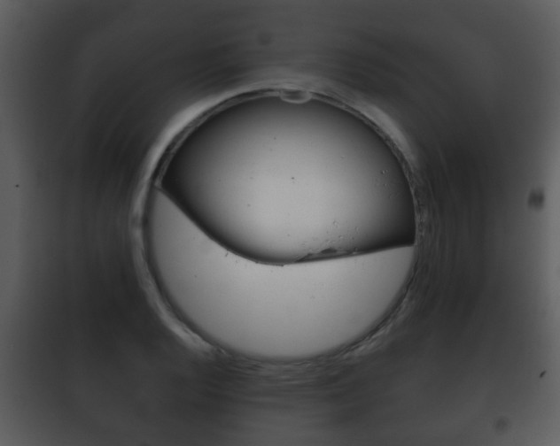 X0000101981128200807180754