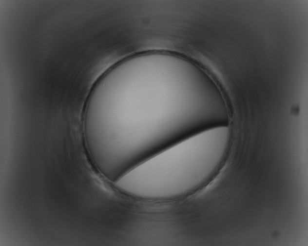 X0000101981129200807180754