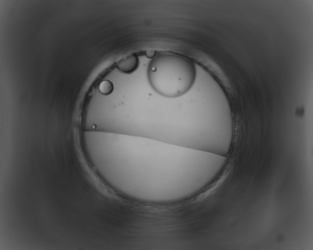 X0000101981130200807180754