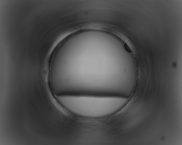 X0000101981131200807180754