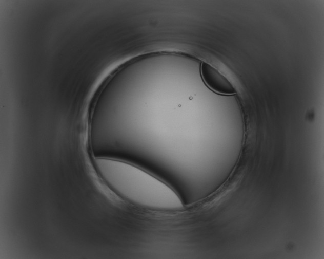 X0000101981132200807180754