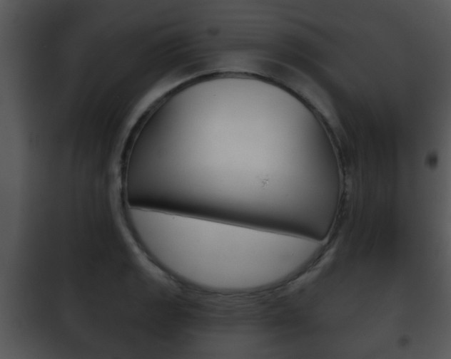 X0000101981133200807180754