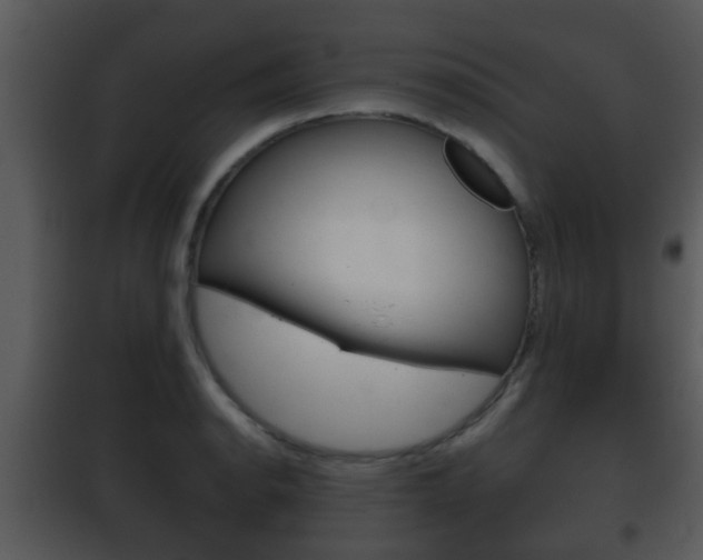 X0000101981134200807180754