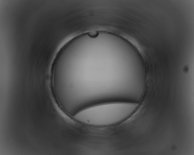 X0000101981135200807180754