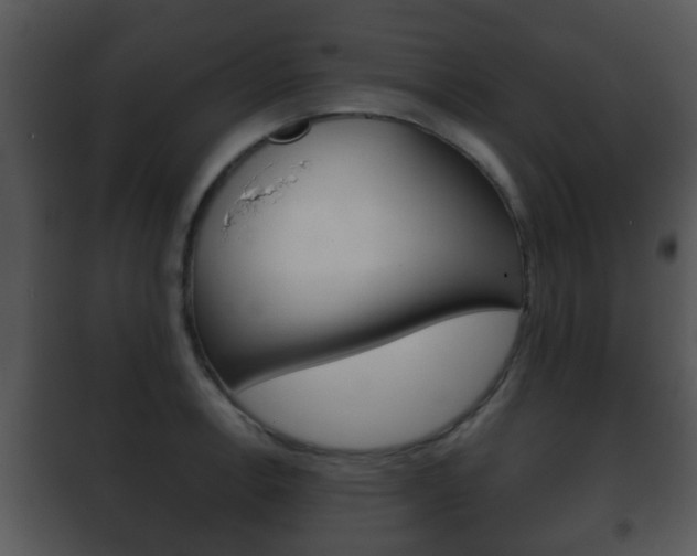 X0000101981138200807180754