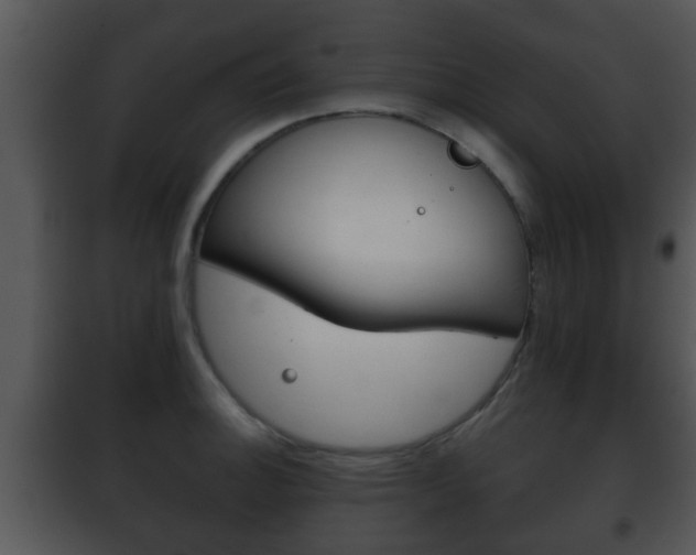 X0000101981140200807180754
