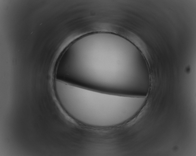 X0000101981141200807180754
