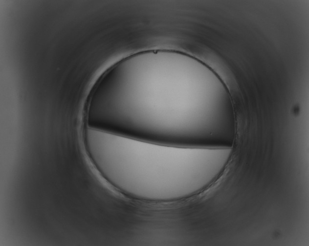X0000101981142200807180754
