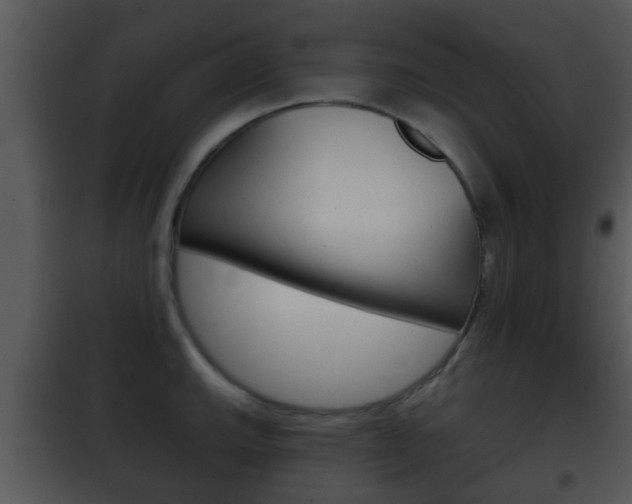 X0000101981143200807180754