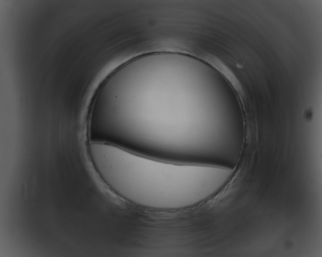 X0000101981144200807180754