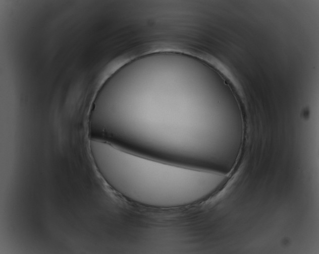 X0000101981145200807180754