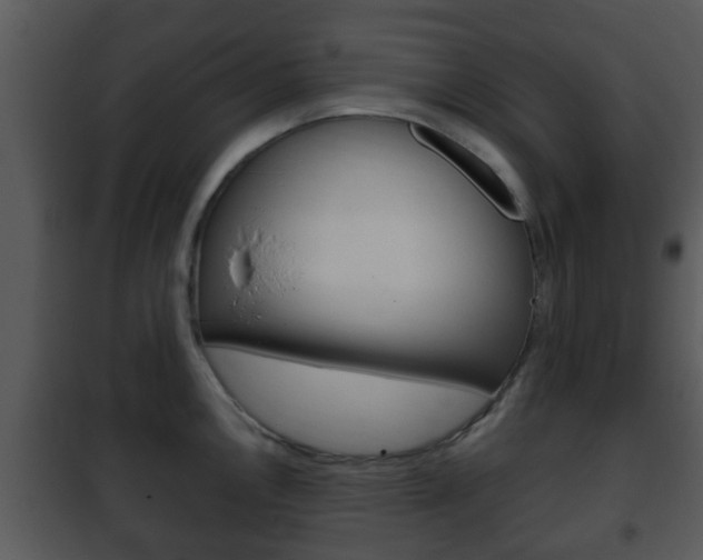 X0000101981146200807180754