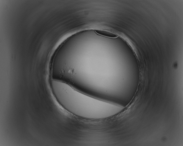 X0000101981147200807180754