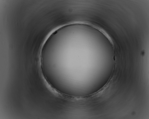 X0000101981148200807180754