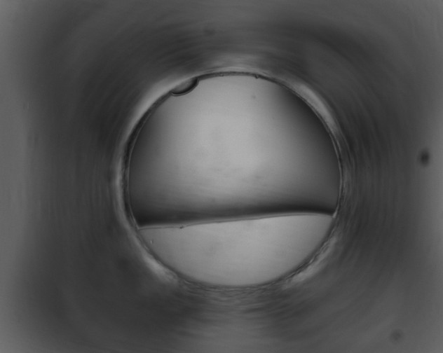 X0000101981149200807180754