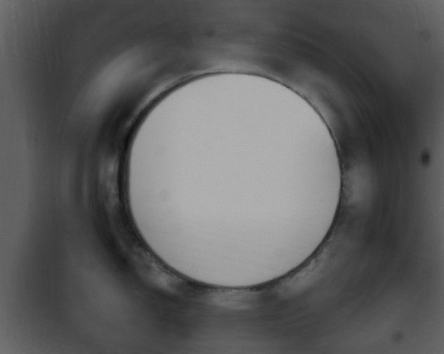 X0000101981150200807180754