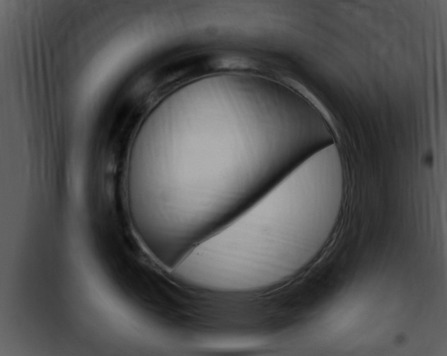 X0000101981151200807180754