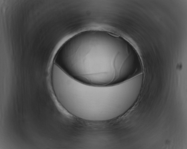 X0000101981152200807180754