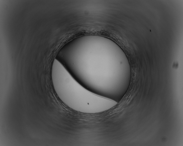 X0000101981153200807180753