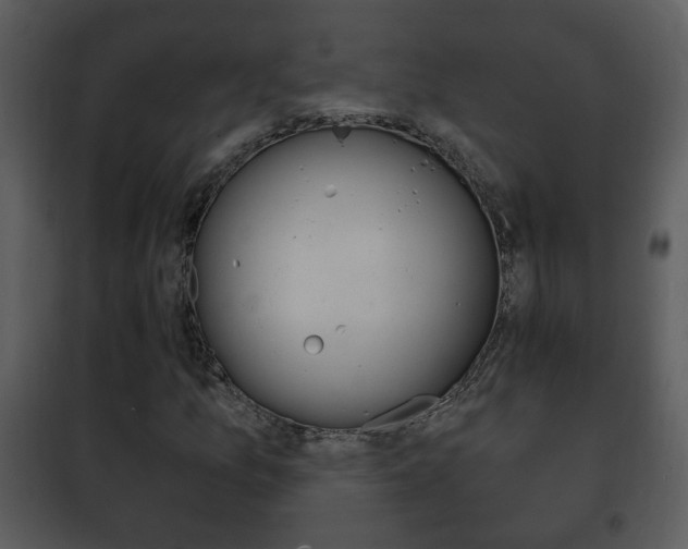 X0000101981157200807180753