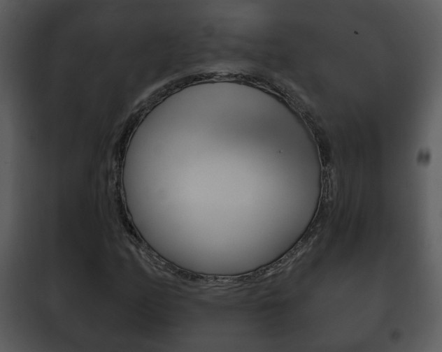 X0000101981158200807180753