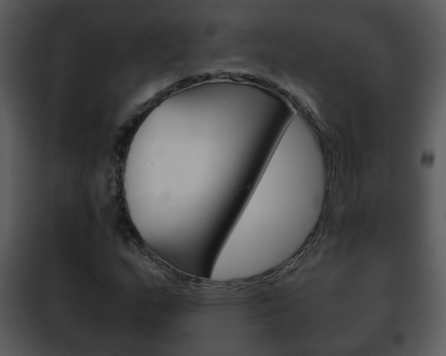 X0000101981159200807180753
