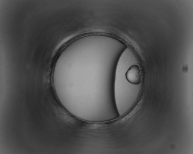 X0000101981166200807180753