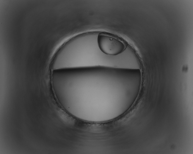X0000101981167200807180753
