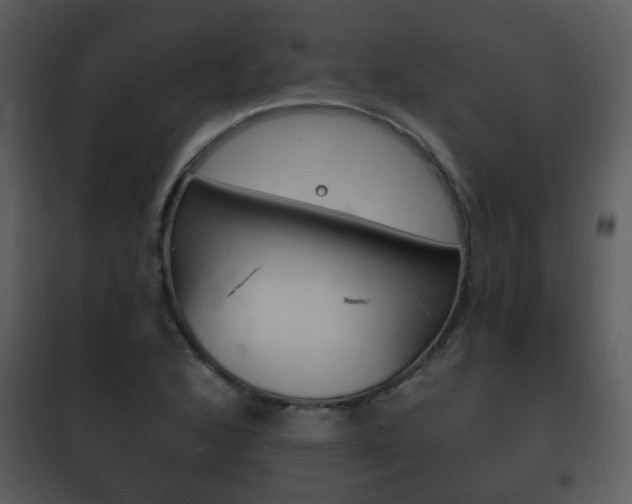 X0000101981168200807180753