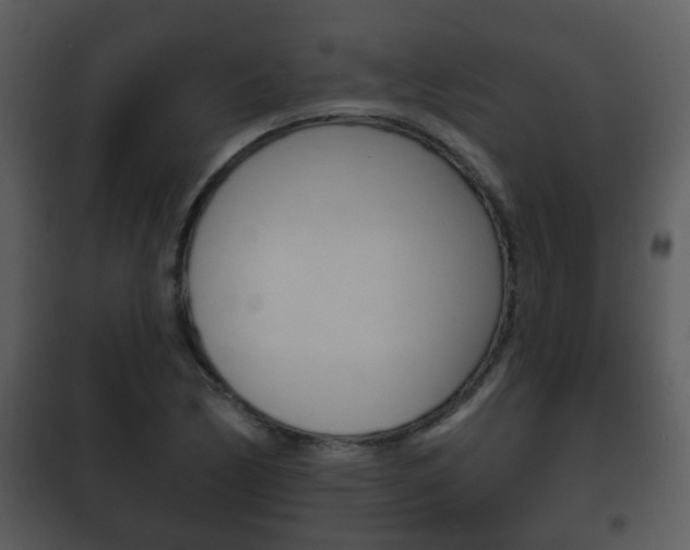 X0000101981170200807180753