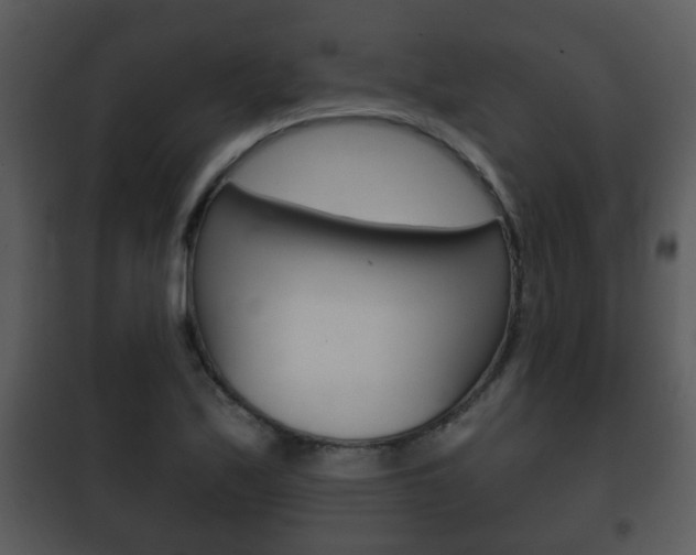 X0000101981171200807180753