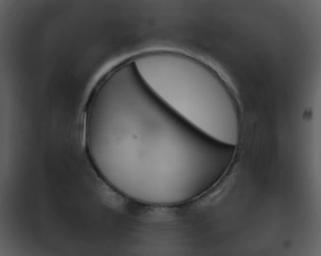 X0000101981175200807180753
