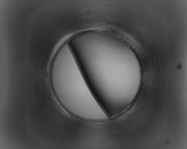 X0000101981180200807180753