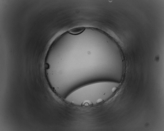 X0000101981181200807180753
