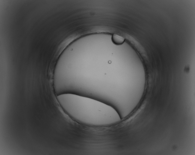 X0000101981185200807180753