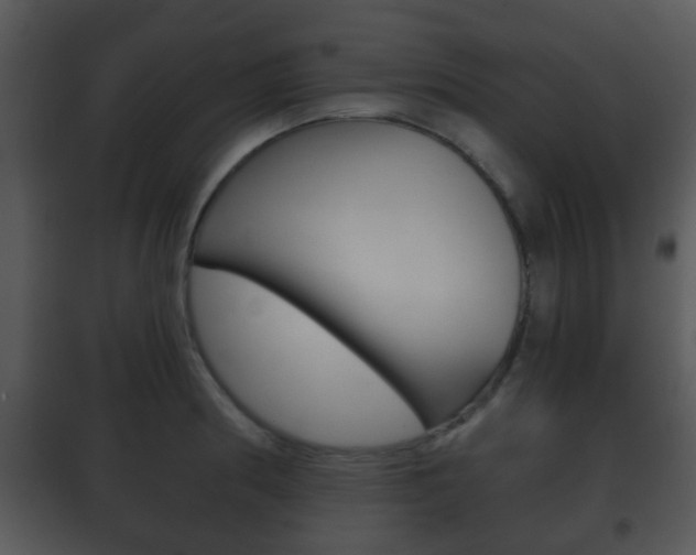 X0000101981186200807180753