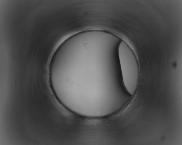 X0000101981187200807180753