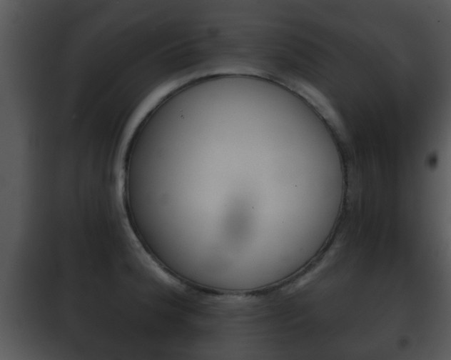 X0000101981188200807180753