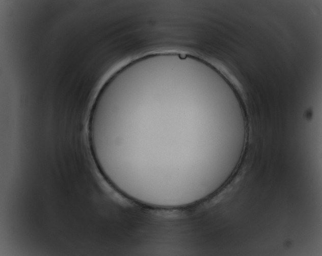 X0000101981189200807180753