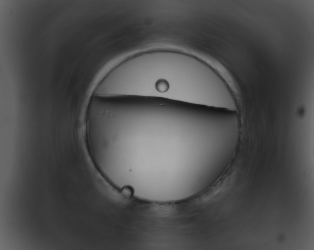 X0000101981191200807180753