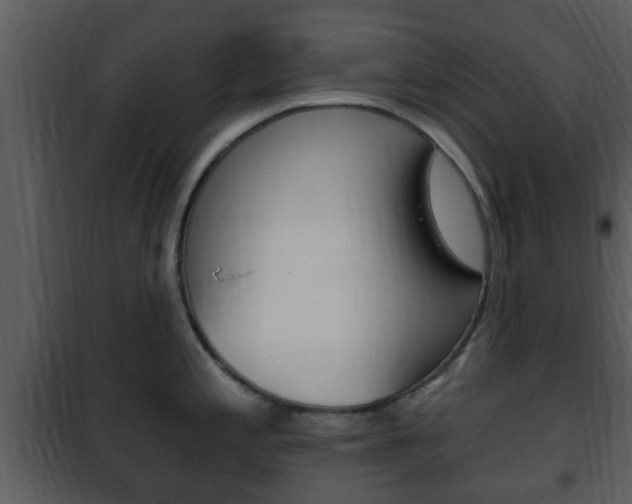 X0000101981197200807180753