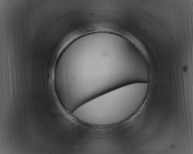 X0000101981198200807180753