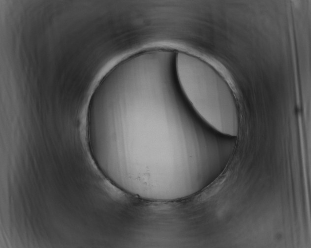 X0000101981199200807180753